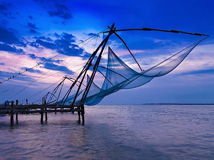 Kumarakom Cochin Munnar Tour