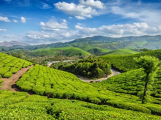 Munnar Cochin Tour