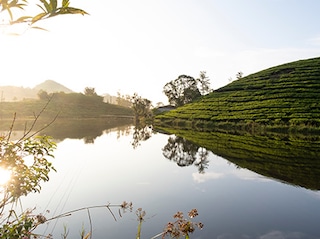 YOLO Outdoors Vagamon Munnar Periyar Alleppey Tour