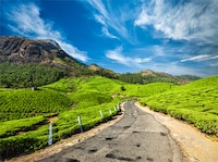 Women's Special Kerala Thumbnail