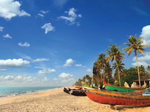 Women's Special Kerala Tour