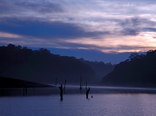 Women's Special Kerala Tour