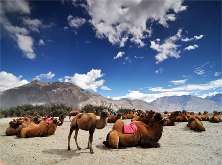 Women's Special Ladakh Tour