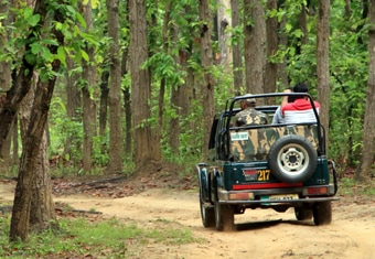 Madhya Pradesh Short Trips Tour Highlights