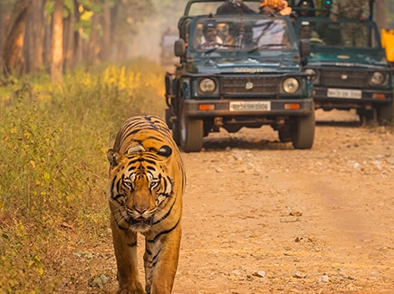 All of Maharashtra Tour