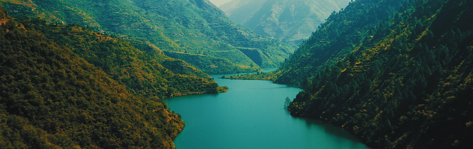 NIHT_banner