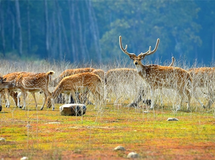 Wonders of Kumaon and Garhwal Tour