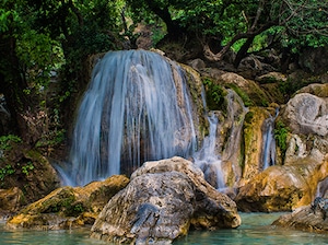 Nainital Mussoorie Haridwar - Pune Tour