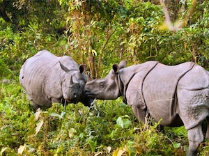 Assam Meghalaya Tour