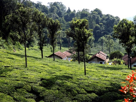 YOLO Outdoors Meghalaya Tour