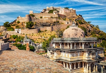 Rajasthan Family Tour Highlights