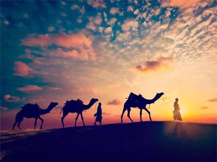 Rajasthan Mewad Tour