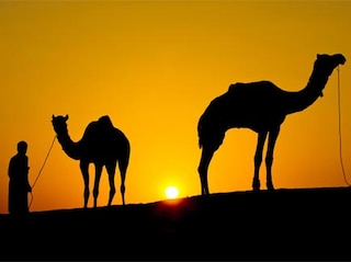 Women's Special Rajasthan Mewad Tour