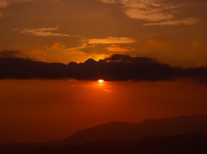 Best of Darjeeling Tour