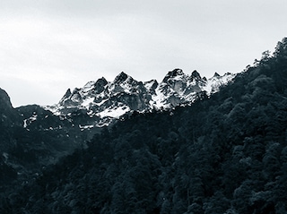 Women's Special Sikkim Darjeeling Gangtok Tour