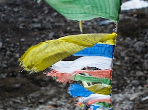 Senior's Special Sikkim Darjeeling Gangtok Tour