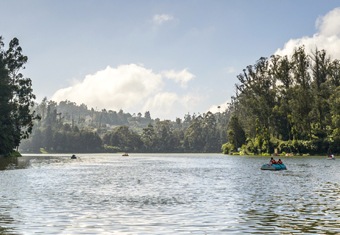 South India Family Tour Highlights