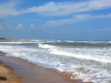 Glimpses of Tamil Nadu Tour