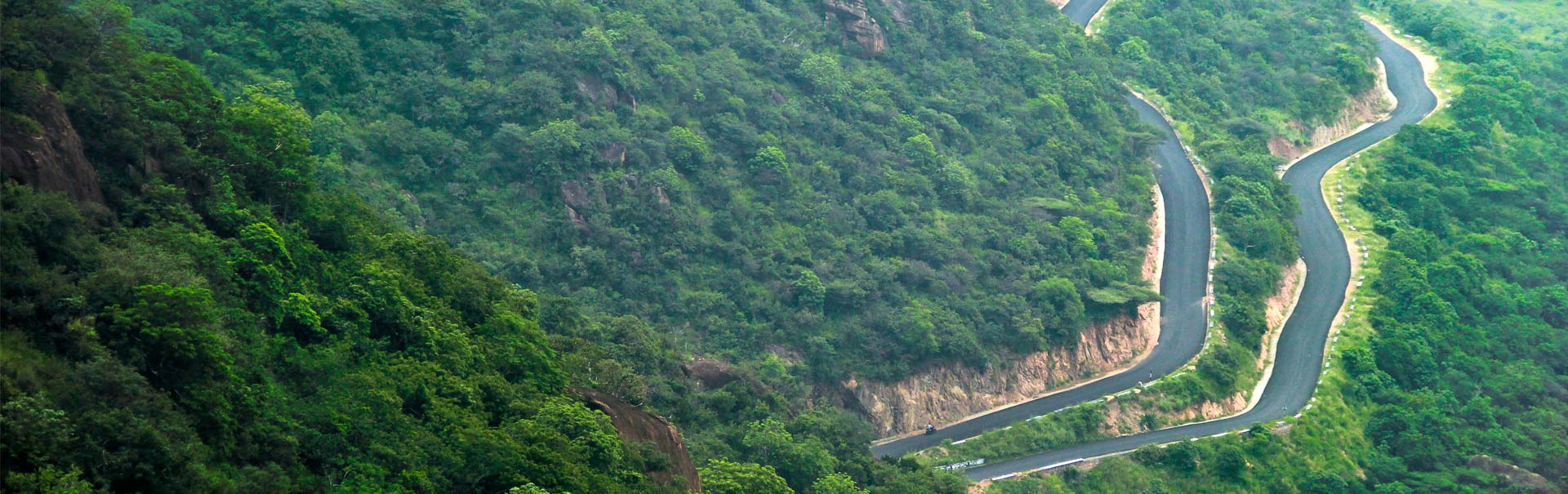 TNTT_banner