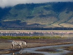 Kenya Tanzania Zanzibar Tour