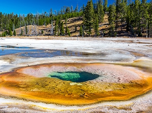Chicago with National Parks  (Joining & Leaving) Tour
