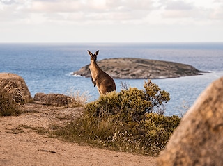 All of Australia Tour