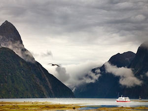 Senior's Special Best of New Zealand Tour