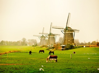 Swiss Paris Amsterdam Brussels Tour