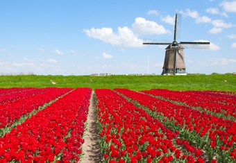 Europe Cost Saver Tour Highlights