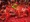 La Tomatina Festival - Spain