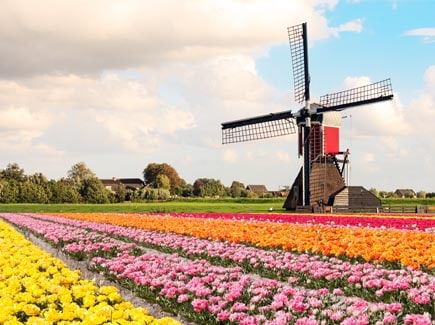 Women's Special Europe Tour