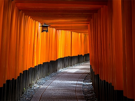 Best of Japan with Nara Tour