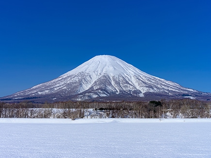 White wonders of Japan Tour