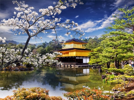 Japan China Korea Taiwan Women's Special Travel Highlights