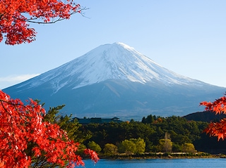 Senior's Special Japan Tour