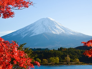 Senior's Special Japan Tour