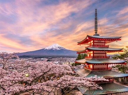 Tokyo Holiday Tour & Travel Packages from India | Veena World