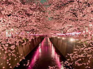 Jewels of Japan Tour