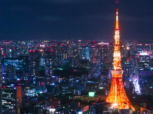 Senior's Special Japan Tour