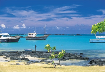 Mauritius Family Tour Highlights