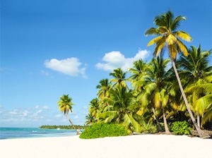 Best of Mauritius Tour