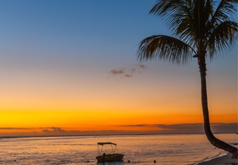 Mauritius Women's Special Tour Highlights