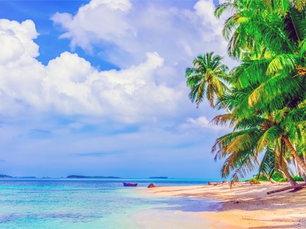 South East Asia Honeymoon Special Travel Highlights