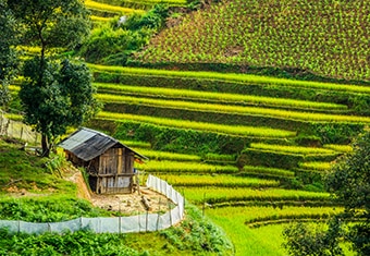 South East Asia Family Tour Highlights