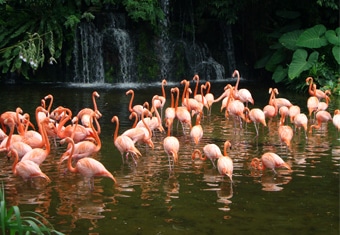 South East Asia Family Tour Highlights