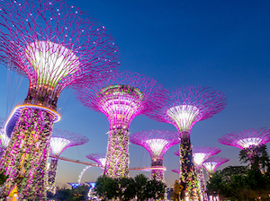 Best of Singapore Tour