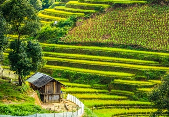 South East Asia Family Tour Highlights