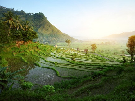 Vietnam Bali Tour