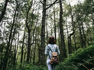 Women's Special Bali Tour