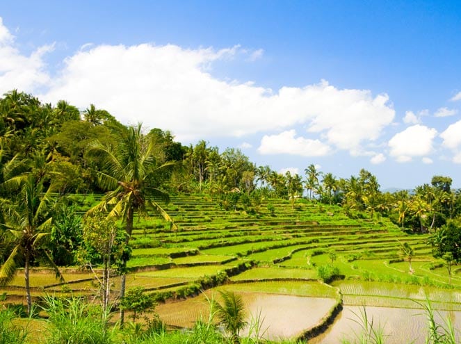 7 Days 6 Nights Seniors' Special Bali Seniors Special Tour Package